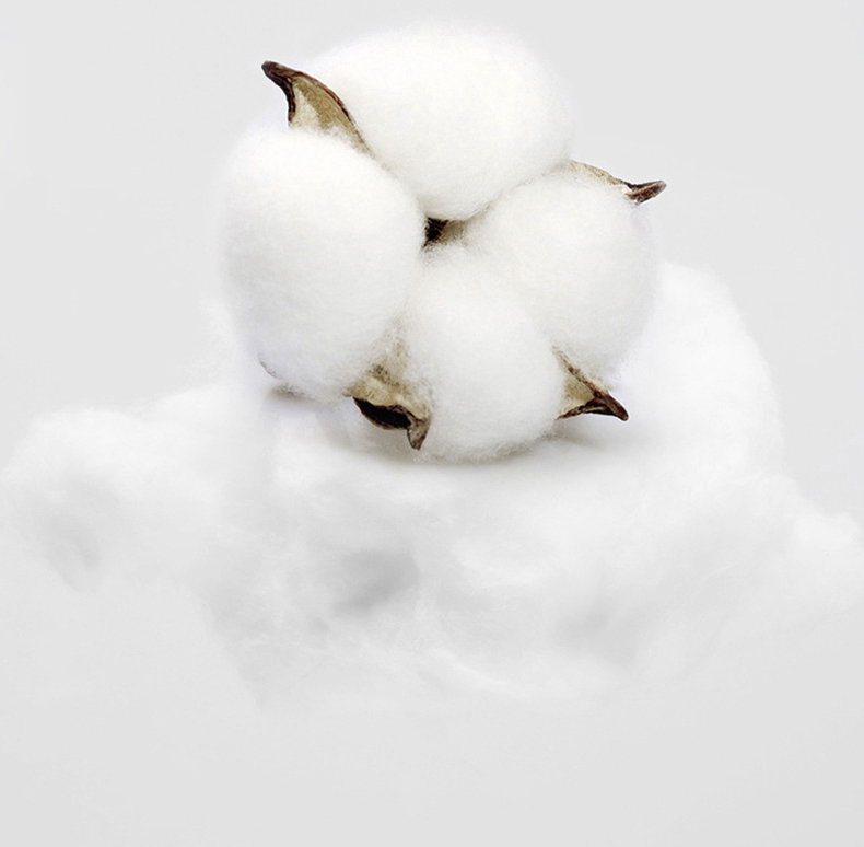 Cotton Bedding Set - Soft Breathable Premium 4-Piece Bed Sheet Set